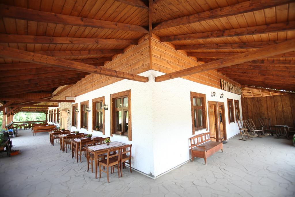 Siedlisko Brzeziniak Hotel Cisna Exterior foto